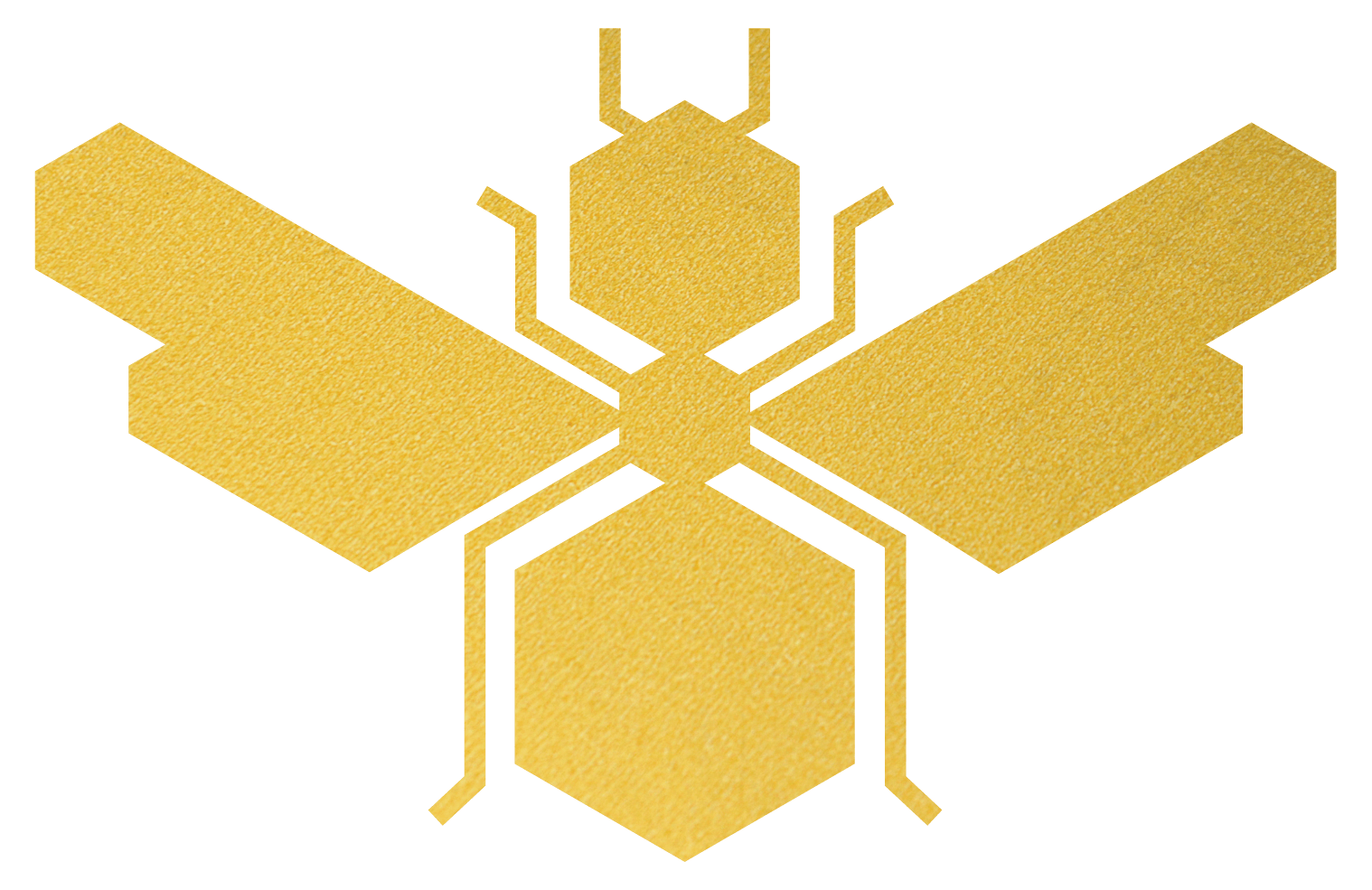 A cute, golden ant with wings