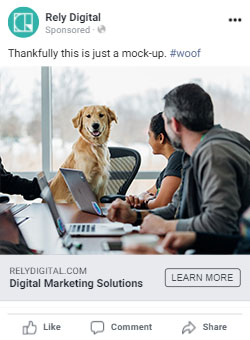 Dog A/B Test