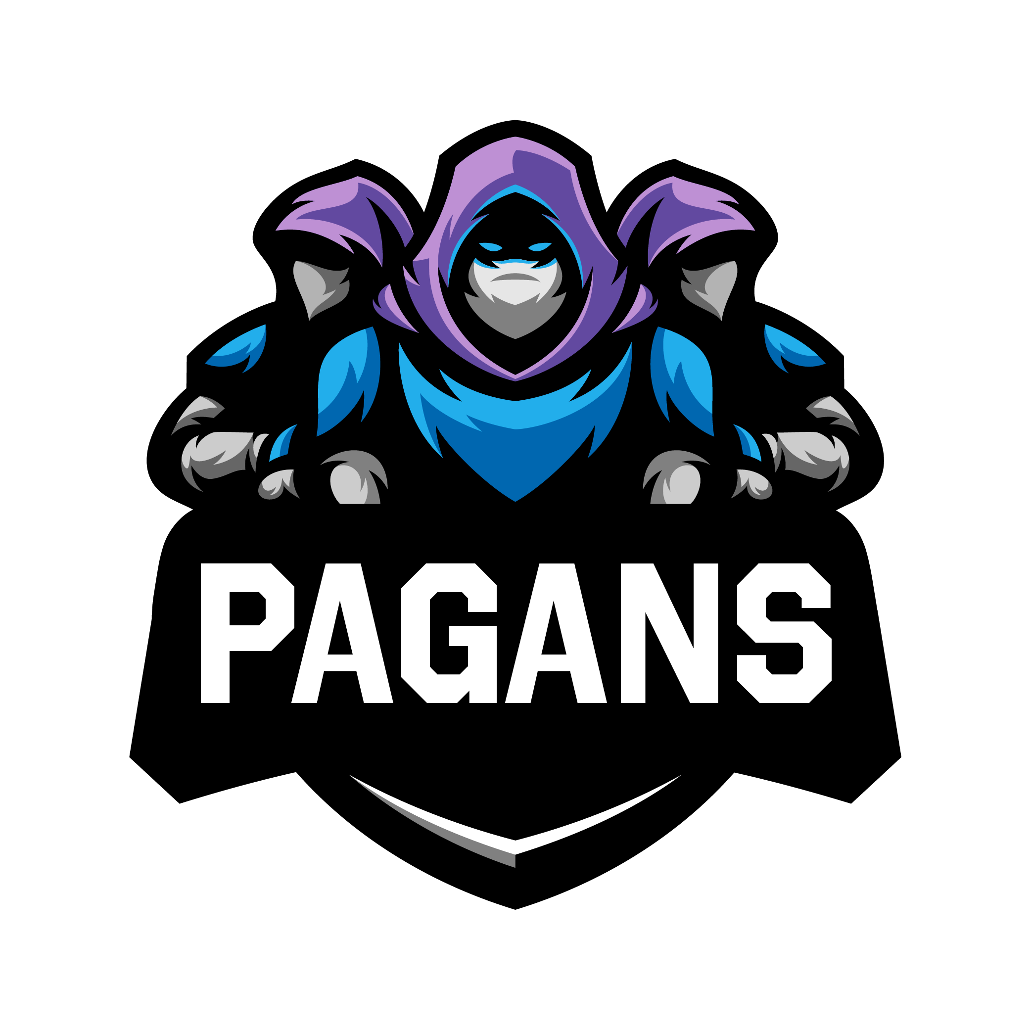 Pagans Volleyball Graphic