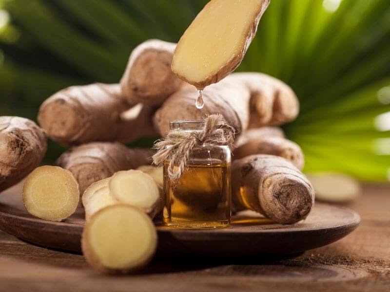 Top 19 Essential Oils for Varicose Vein with Scientific Studies Vein