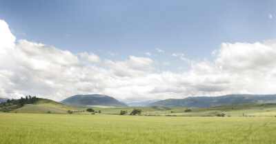 Parcel Access Vs Public Access Vs Open Range | askBAMLand