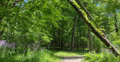How Big Is One Acre Of Land? | askBAMLand