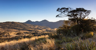 How Big Is 1000 Acres Of Land? | askBAMLand