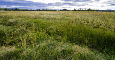 Raw Vs Vacant Land | askBAMLand