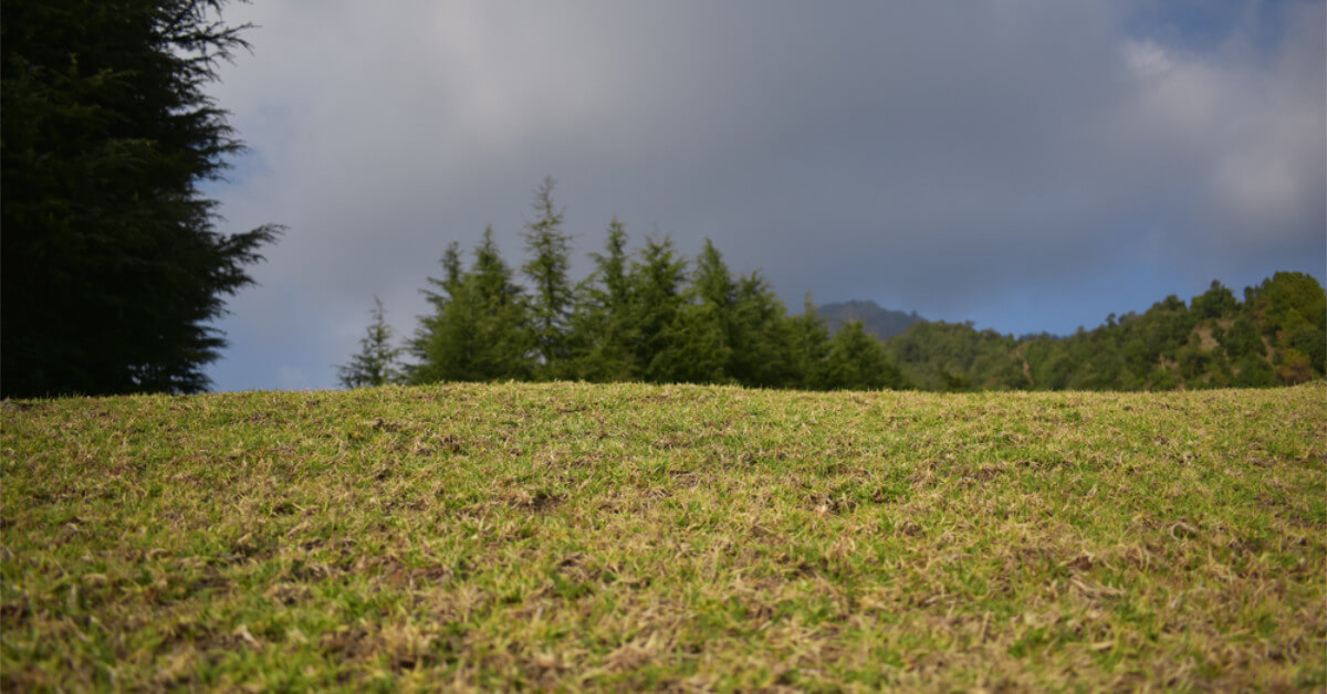 How to buy land with no down payment Clearance