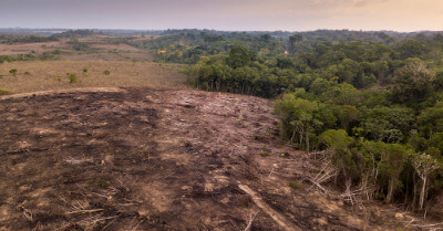 How Much Land Does Amazon Own? | askBAMLand