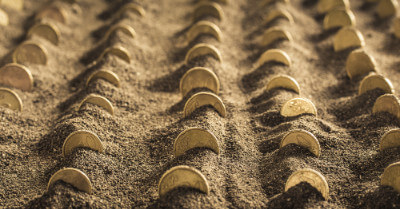 How To Make Money With Vacant Rural Land | askBAMLand