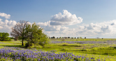 How Much Does Undeveloped Land Cost In Texas? | askBAMLand