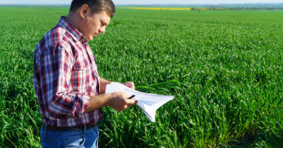 What Does A Title Search Include For A Raw Land Purchase | askBAMLand