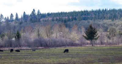 What States Offer Free Land? | askBAMLand