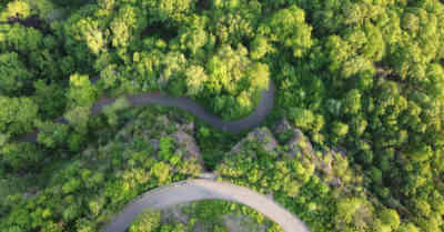 Owning Land In Connecticut: Pros & Cons | askBAMLand