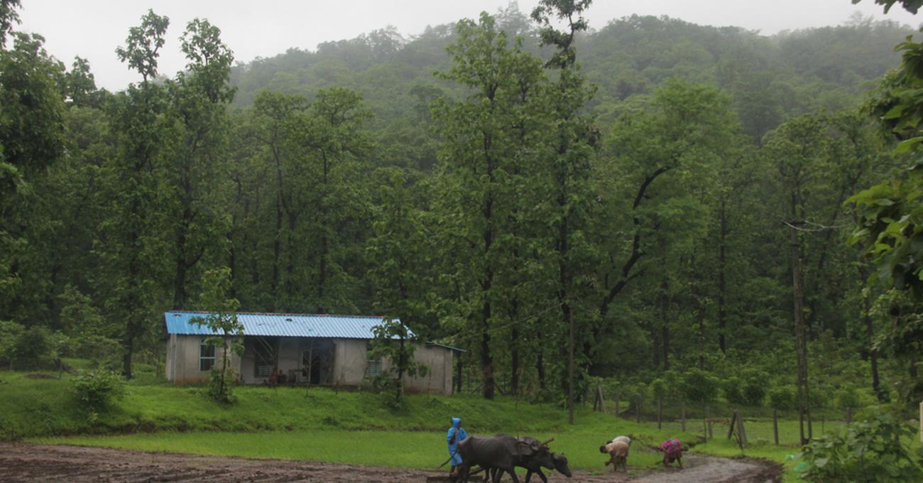 How To Live On Undeveloped Land askBAMLand