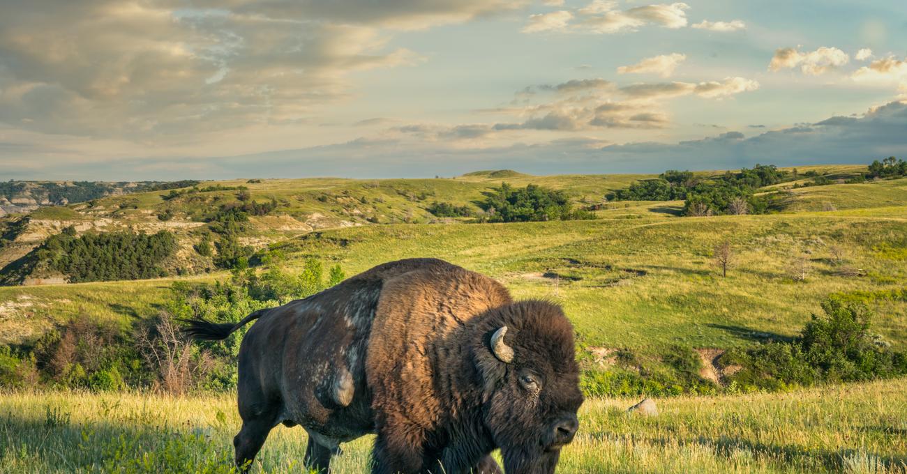 Owning Land In North Dakota Pros & Cons askBAMLand