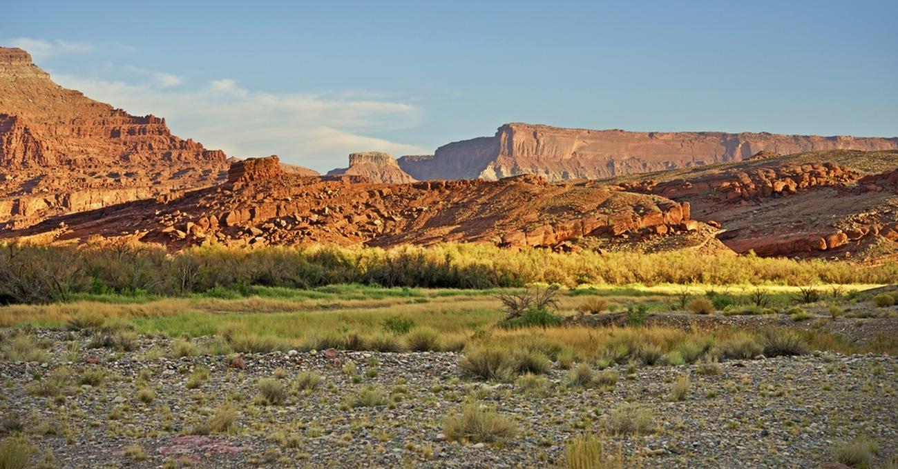 What Is Raw Land? askBAMLand