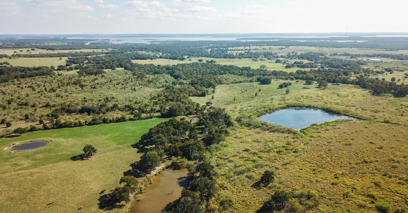 Buying Land Without Mineral Rights In Texas (Things To Know)