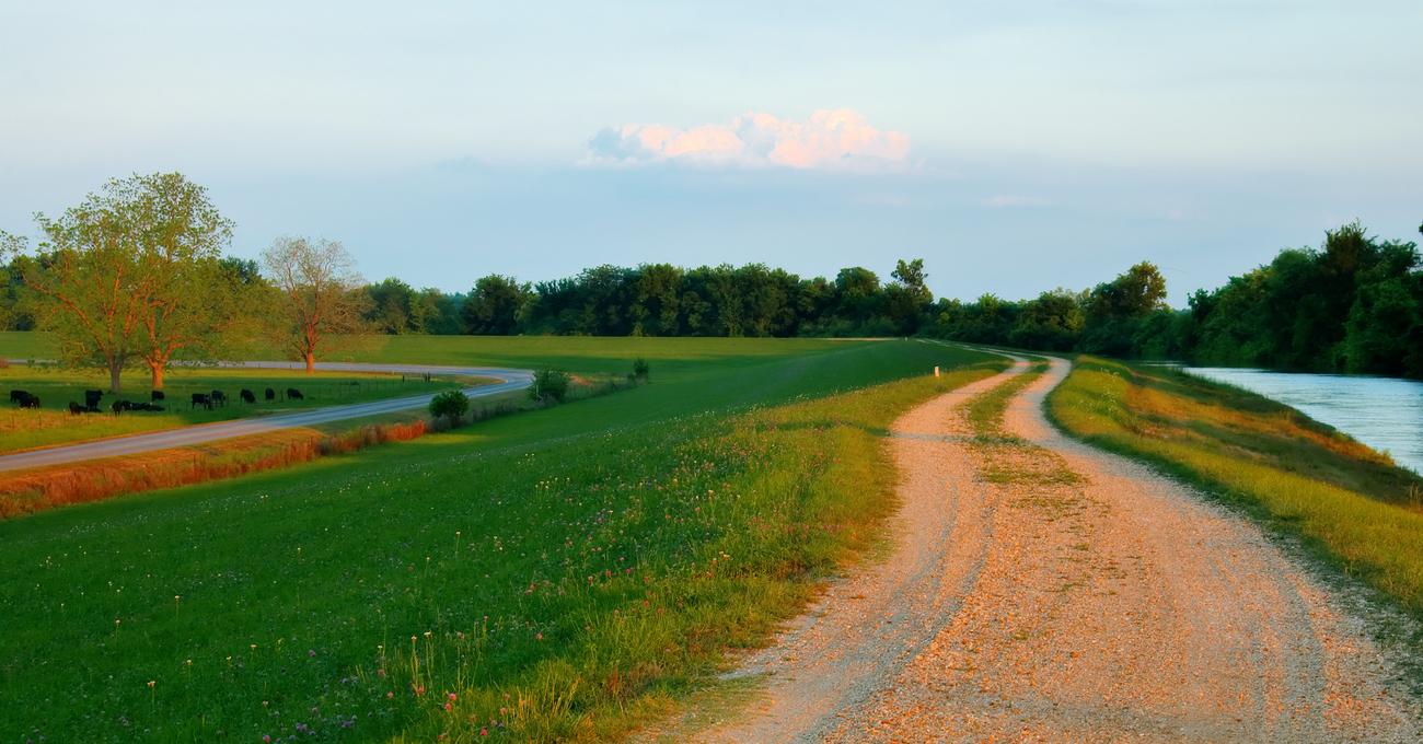 Owning Land In Louisiana Pros & Cons askBAMLand