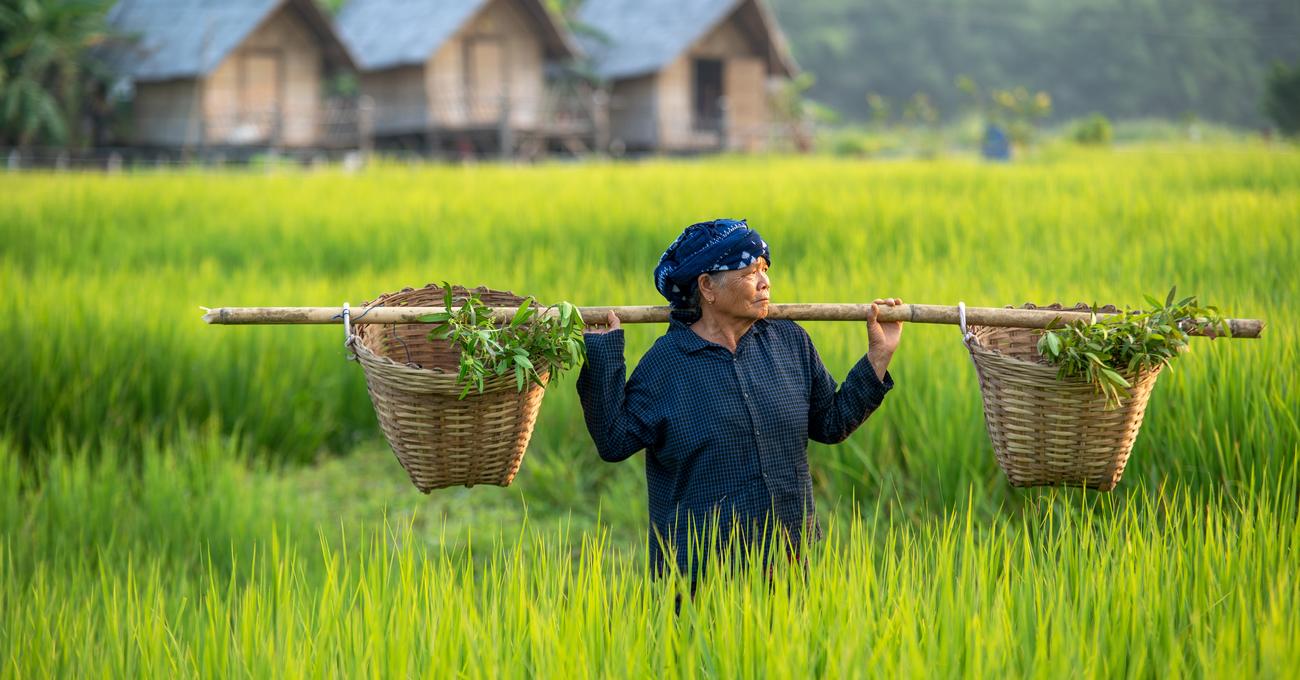 Can You Buy Land In Vietnam? askBAMLand