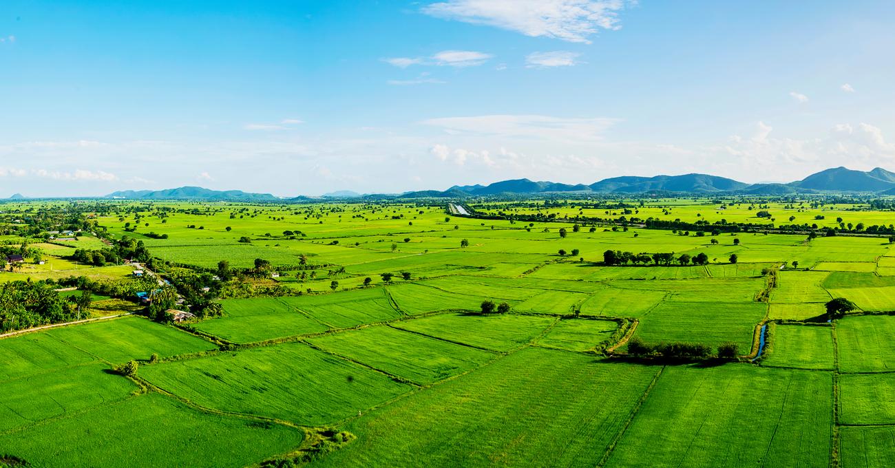 What To Know About Buying Vacant Land askBAMLand