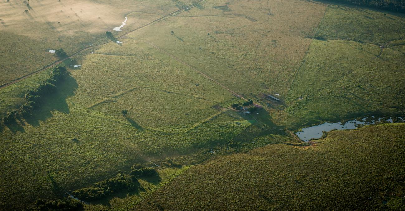 Can I Buy Land In The Amazon? askBAMLand