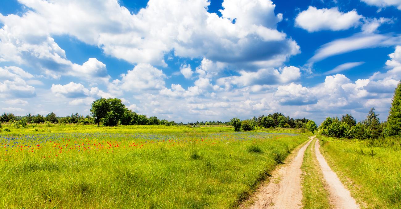 How To Buy Land That Is Not For Sale askBAMLand