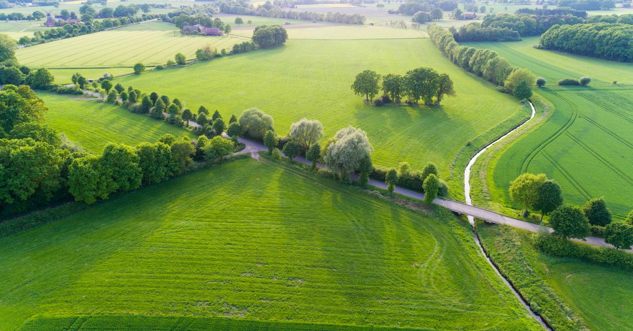 What To Do After You Buy Land askBAMLand