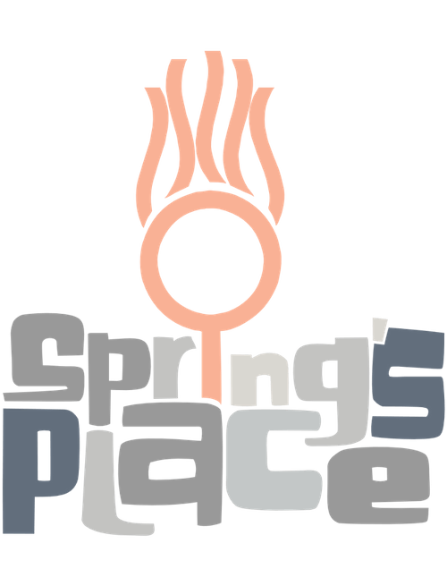 Spring's Place The Hair Studio