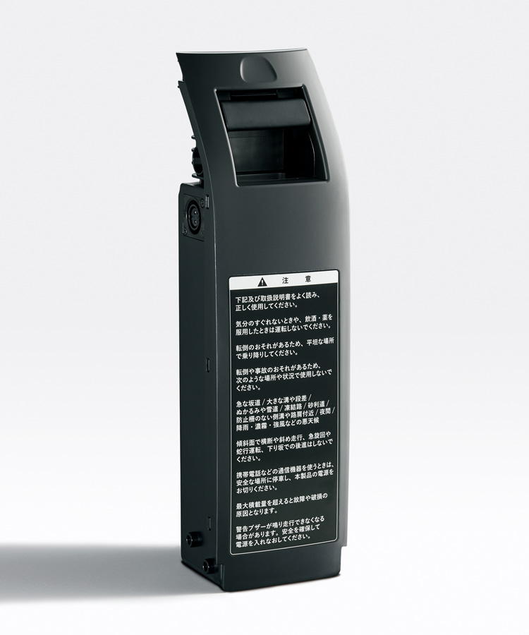 Lithium-ion battery unit
