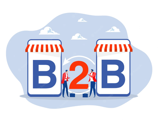 ecommerce b2b