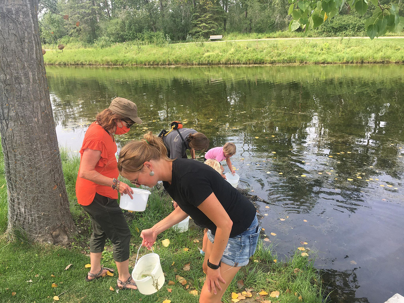 Colleen on the Scene is learning how to pond dip with Kerry Wood Nature Centre staff and children at Bower Ponds