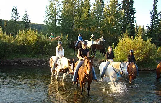 6196990a005c57410bca3453 Eveningride rainorshine