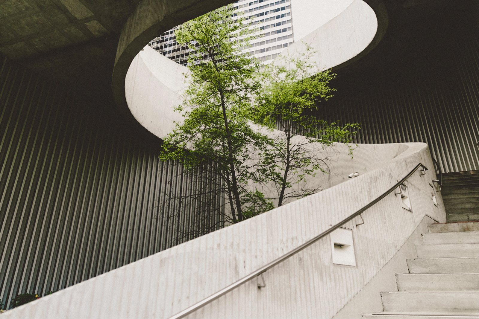 Working Sustainably