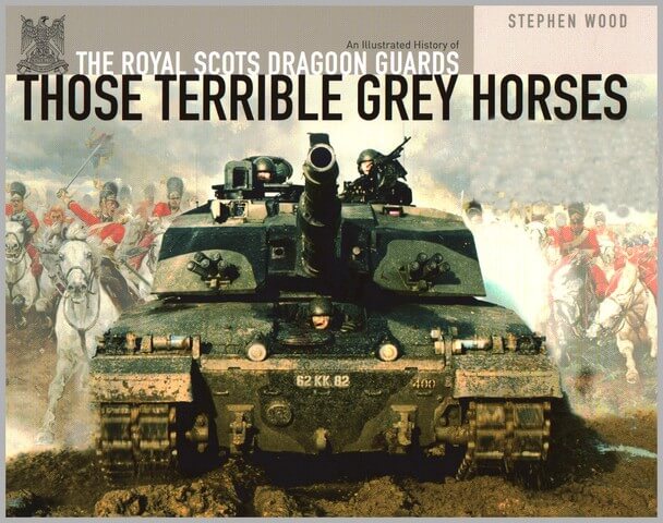 Those Terrible Grey Horses Book
