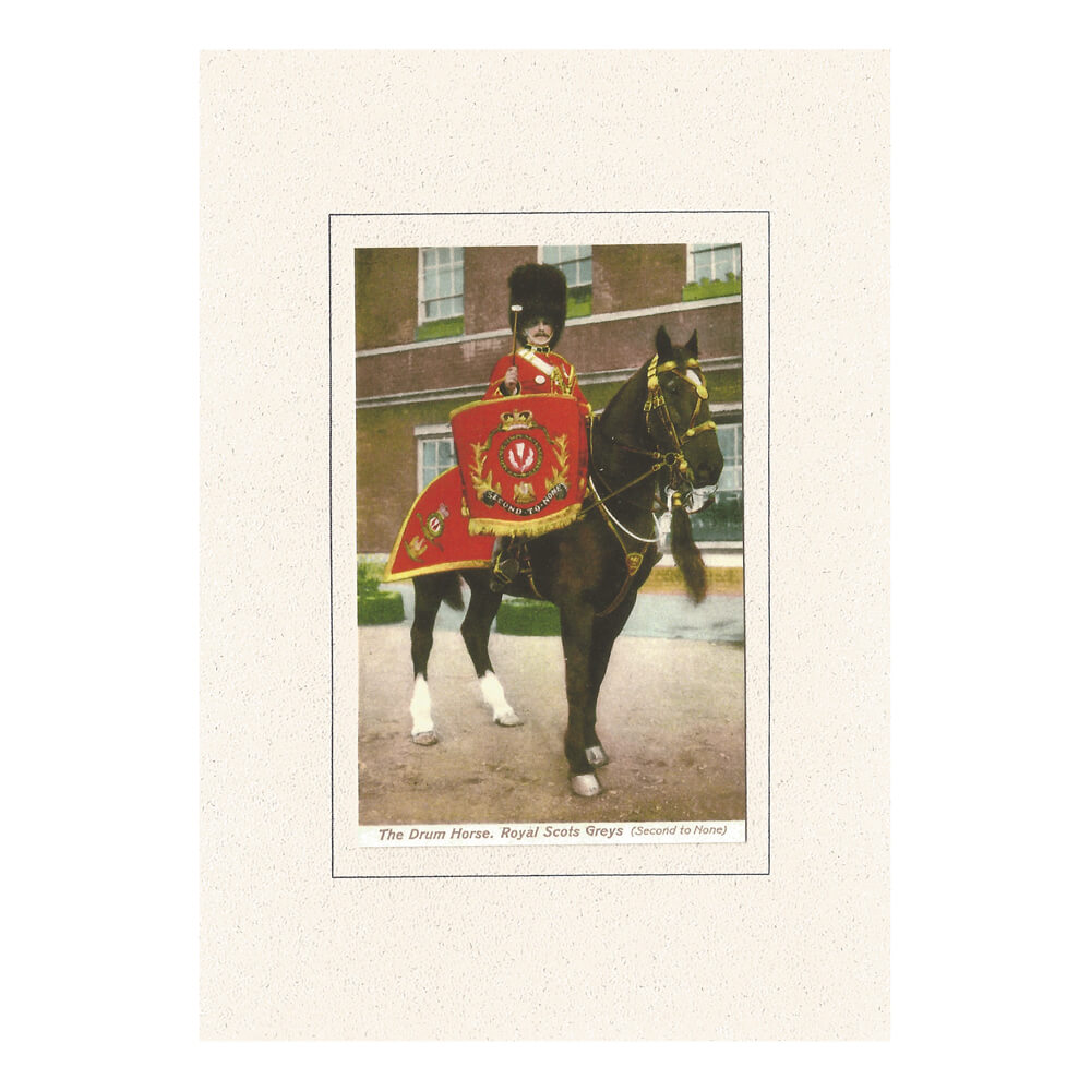 The Drum Horse Greetings Card