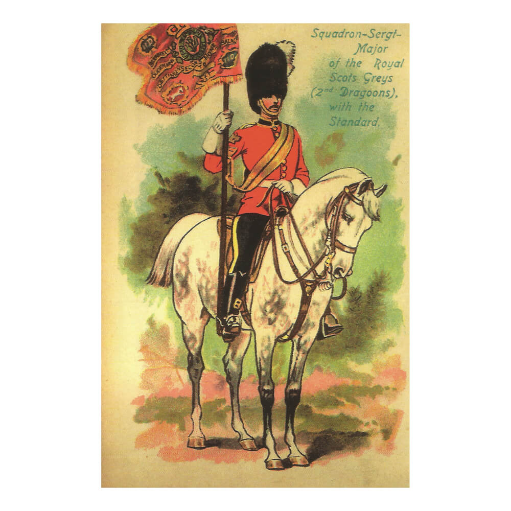 Squadron Sgt. Major with Standard Postcard