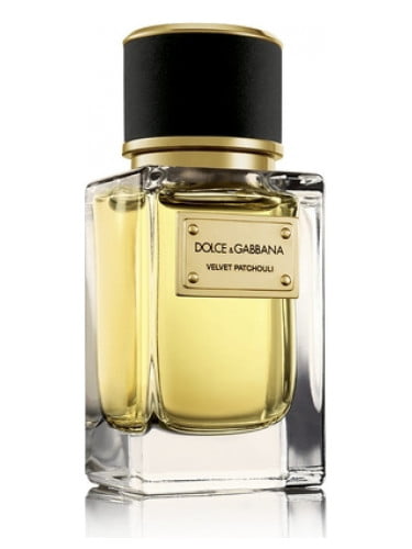 dolce gabbana velvet patchouli