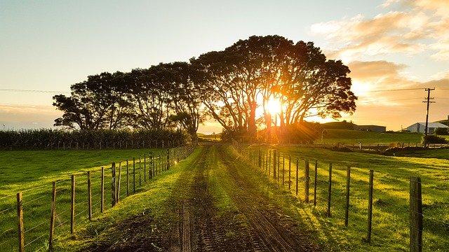 pastureland