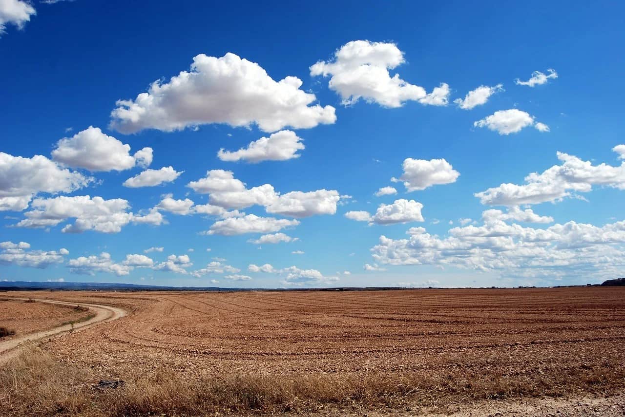 open field raw undeveloped land