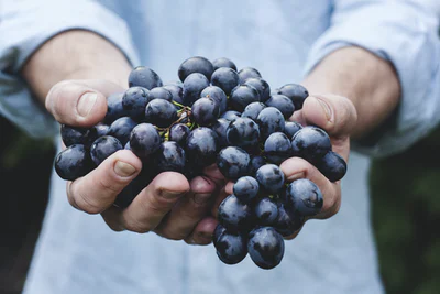 A person holding grapes