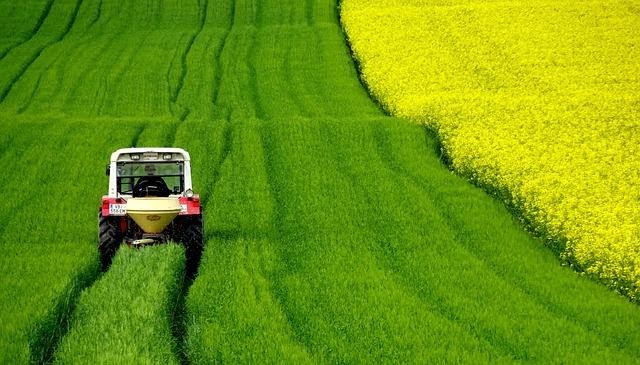 a small tractor in a field