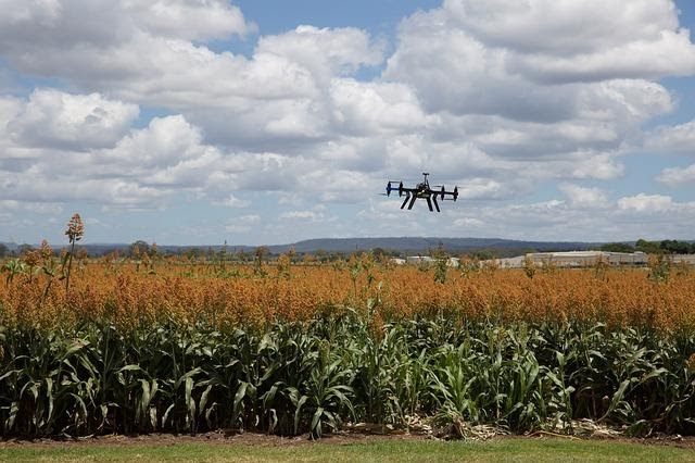 a drone above a crop