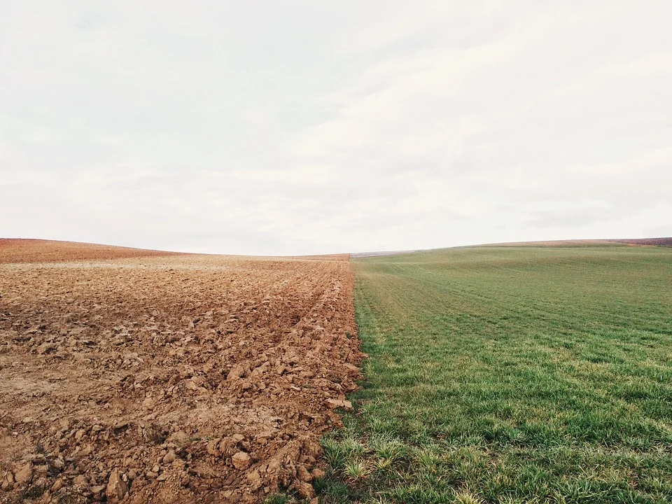 Before & after getting farmland ready to plant crops