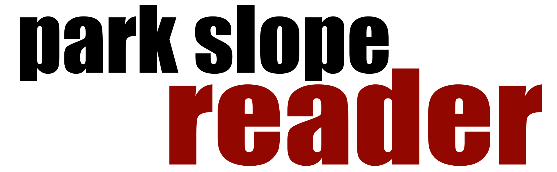 Park Slope Reader logo