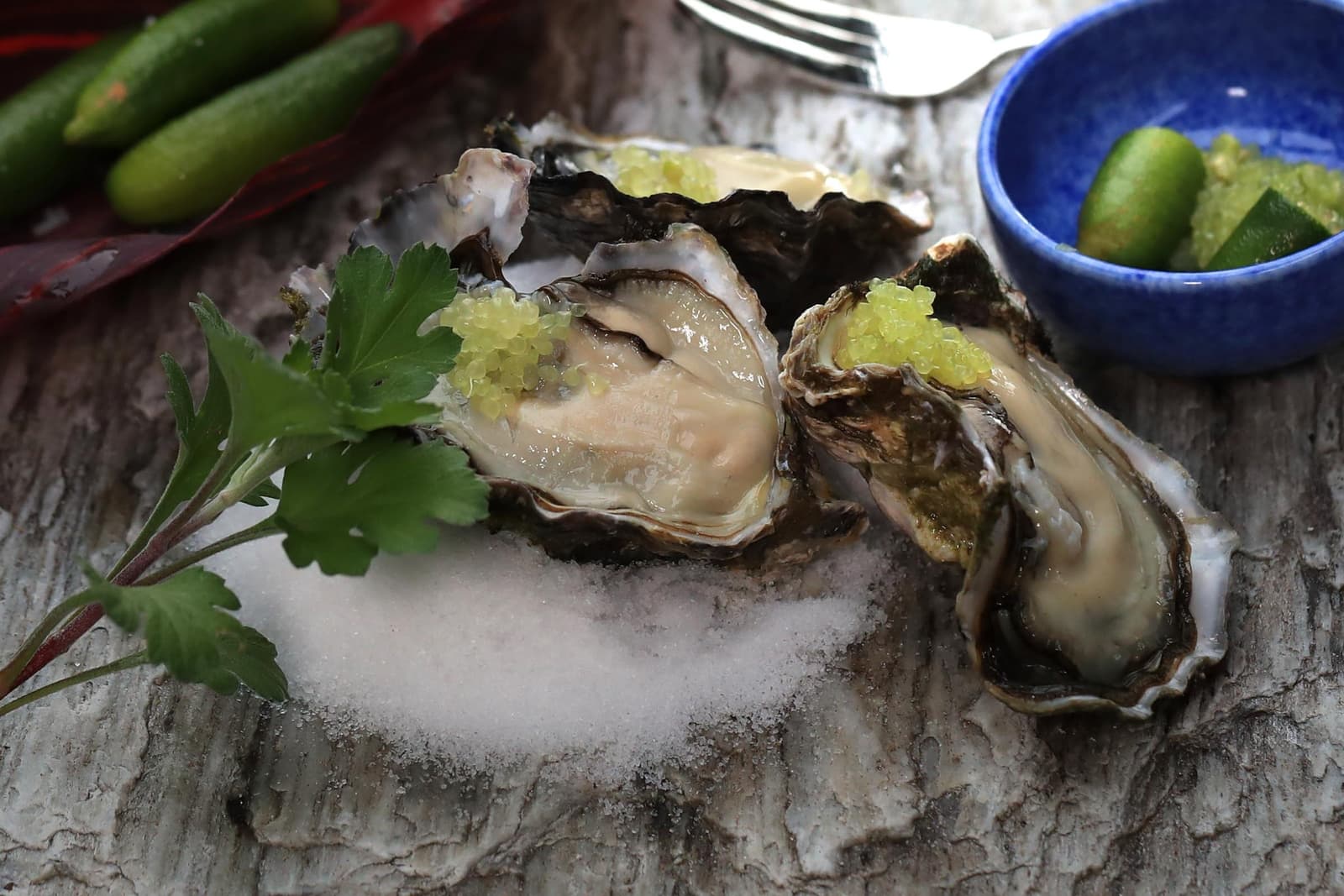 Caviar Limes Finger Limes of New Zealand