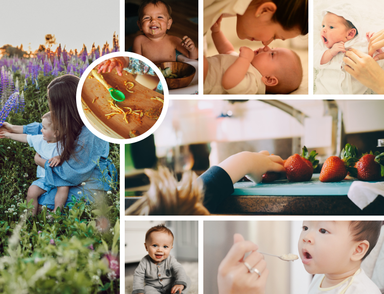 Nuttri Babe Mood Board containing a collage of pictures with parents and different aged babies happy and playing and some eating.