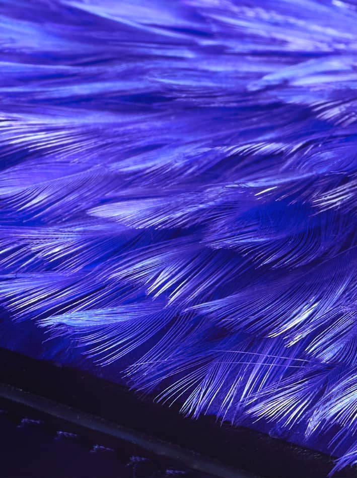 Pochette plumes bleu et cuir python haute couture Majorelle Ingrid Paris closeup