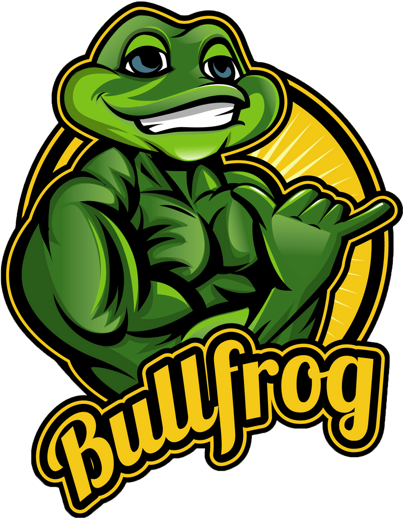 Bullfrog Creative Agency About Us