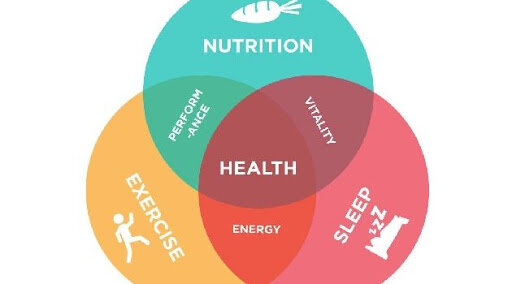 Venn Diagram for Rock Climbing Recovery