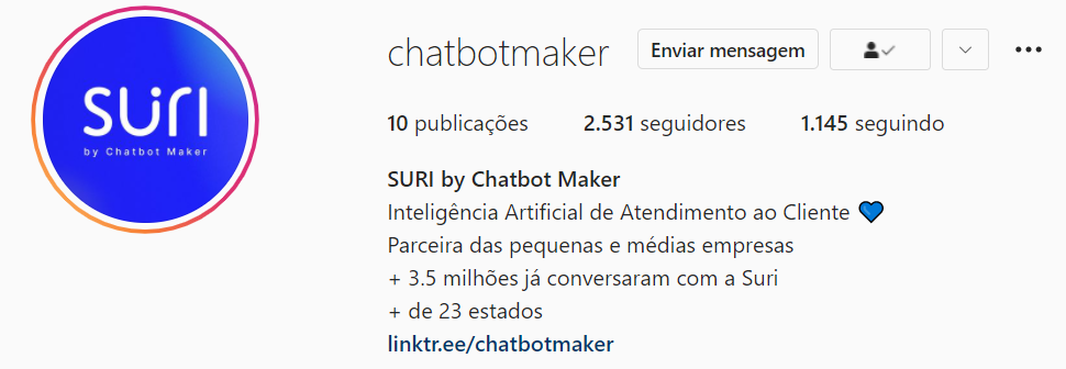 Exemplo de bio do Instagram