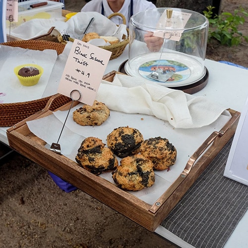 LRM_EXPORT_146050445619232_20190520_114859095