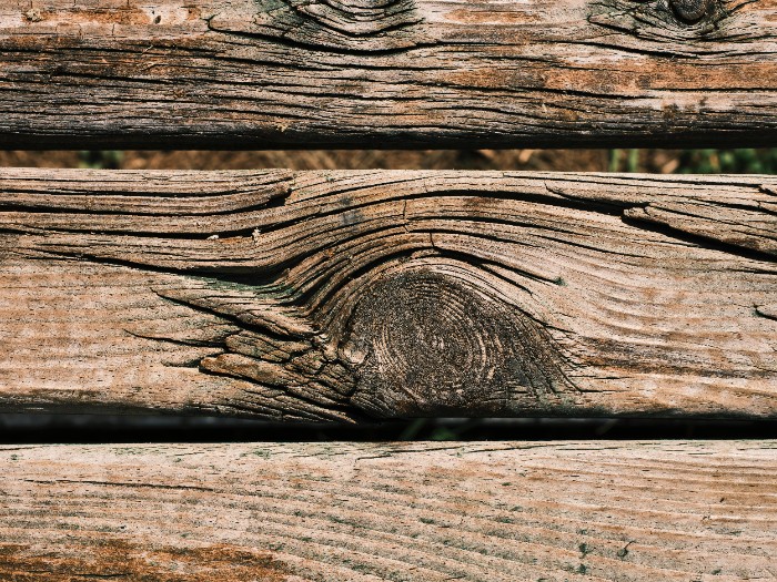 Cracks in wood